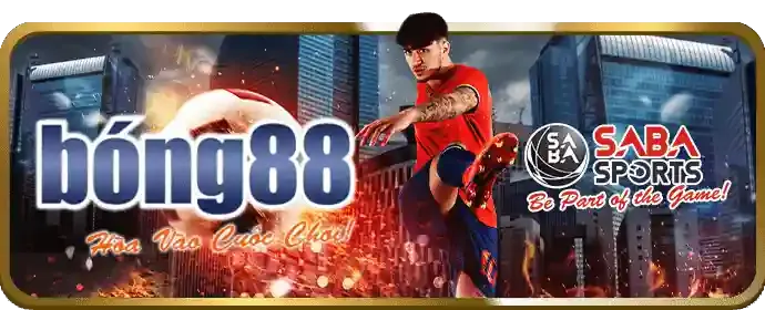 Hoàn trả tiền cược tv8804